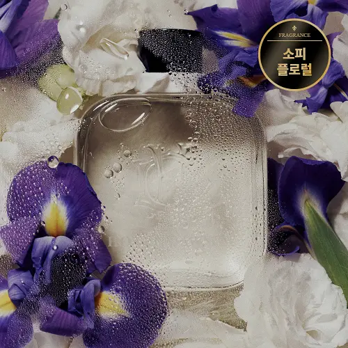 호텔도슨 디퓨저 레이트체크아웃 250ml [소피 머스크 향]